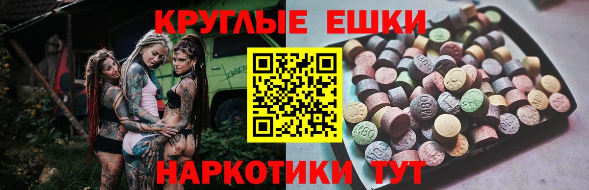 Ecstasy Philipp Plein  Ecstasy VHQ  Владивосток  Вход с VPN 