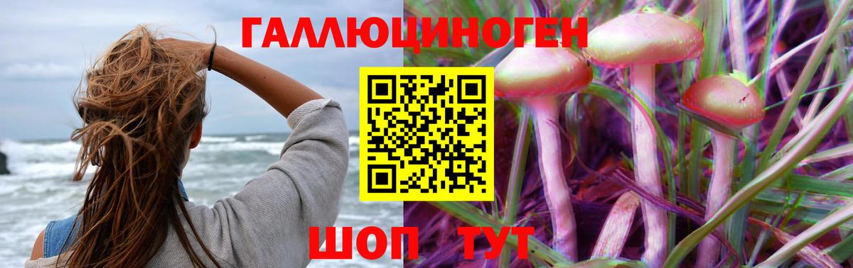 Псилоцибиновые грибы Psilocybine cubensis  Вход с VPN  Владивосток 